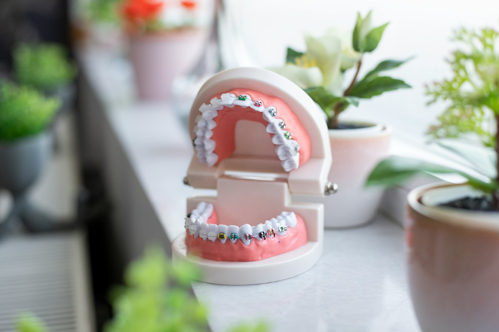 a toothbrush holder sitting on top of a counter next to a potted plant